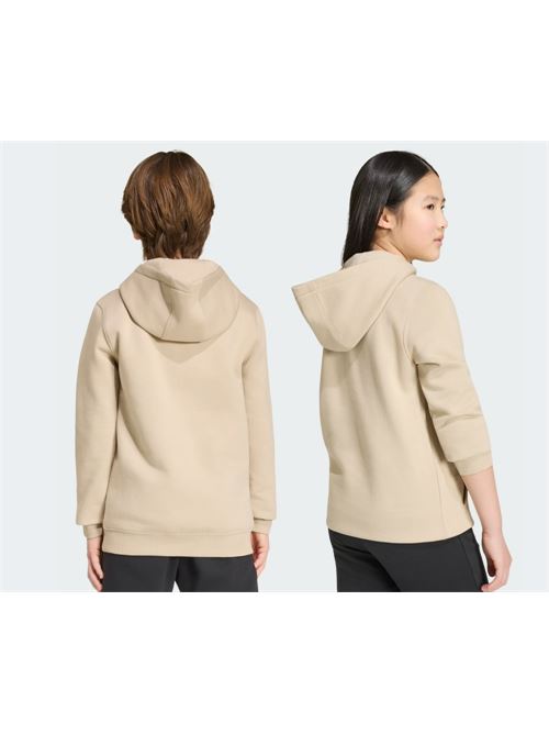 regular hoodie ADIDAS ORIGINAL | KR0881KHATHR